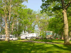 site1-3.jpg